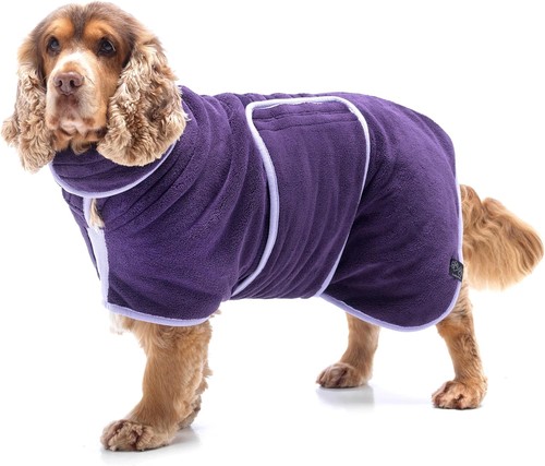 Lucky paws dog - uk,