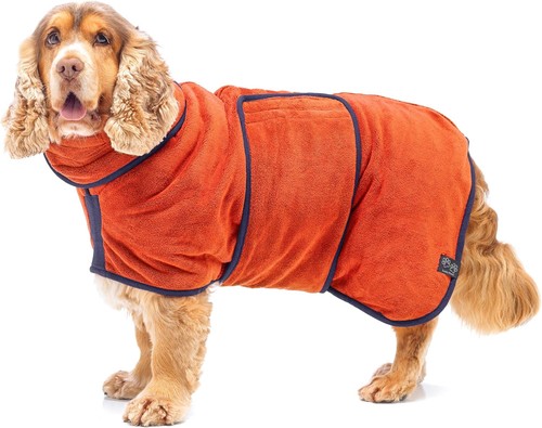 Lucky paws dog - uk, drying