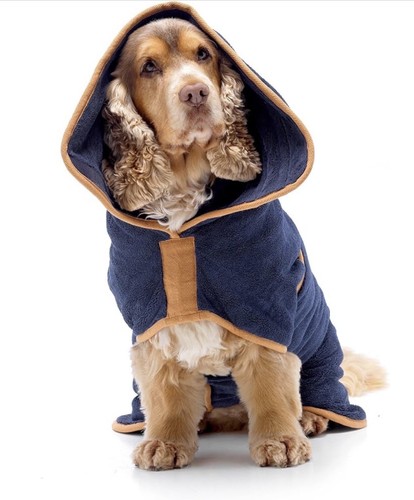 Lucky paws dog - drying,